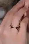 Görsel 1